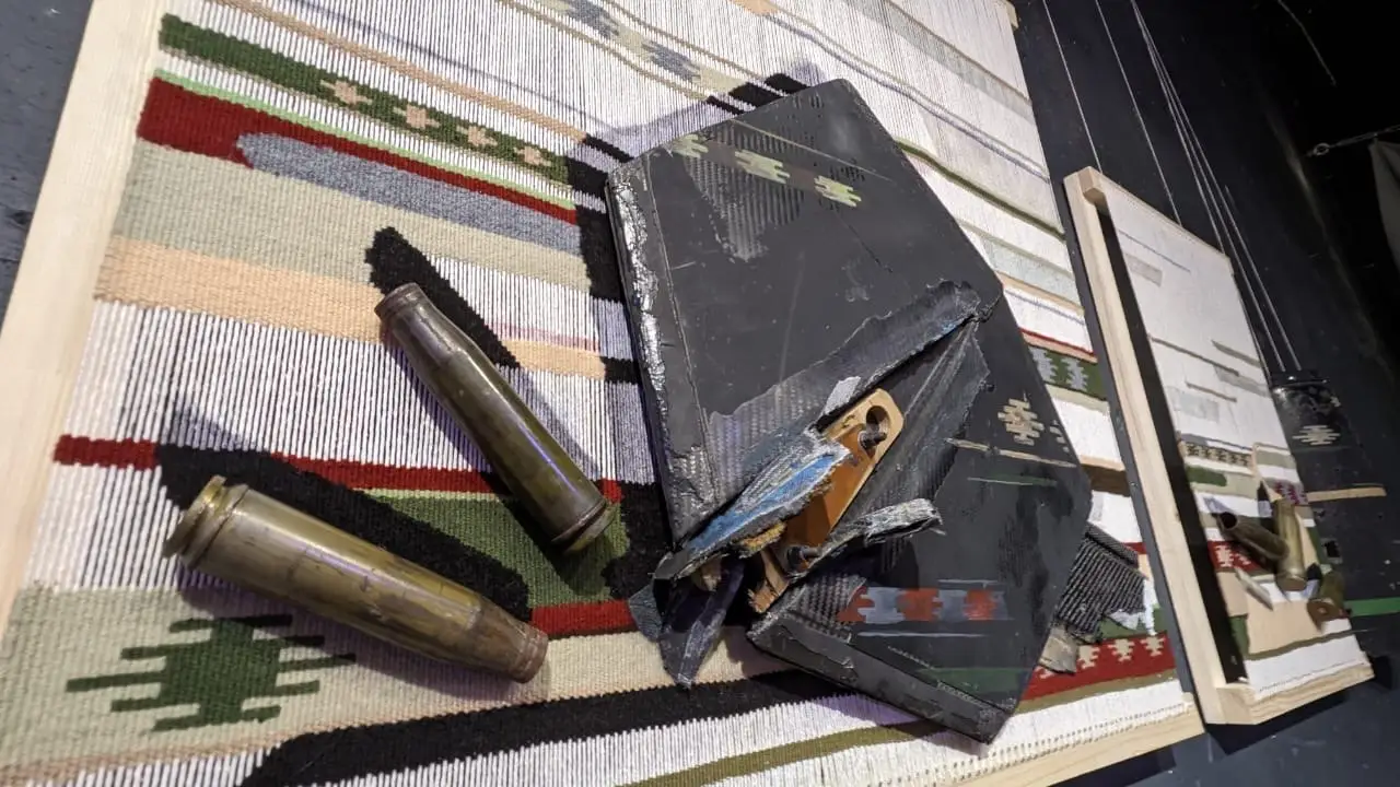 художниця Людмила Пономаренко